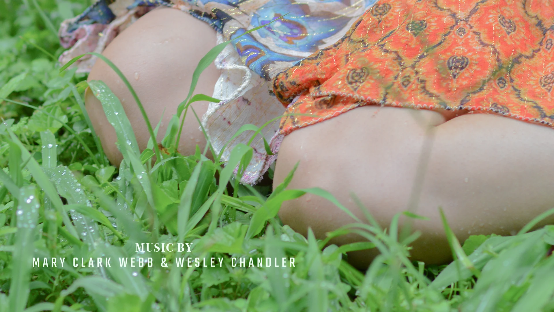 A close-up of patterned clothing and grass with music credits